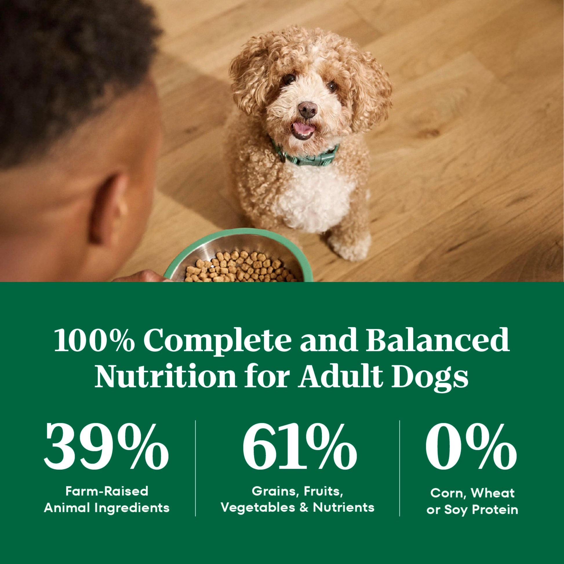 Nutro Natural Choice Adult Dry Dog Food, Lamb Flavour, 2.27kg Nutro