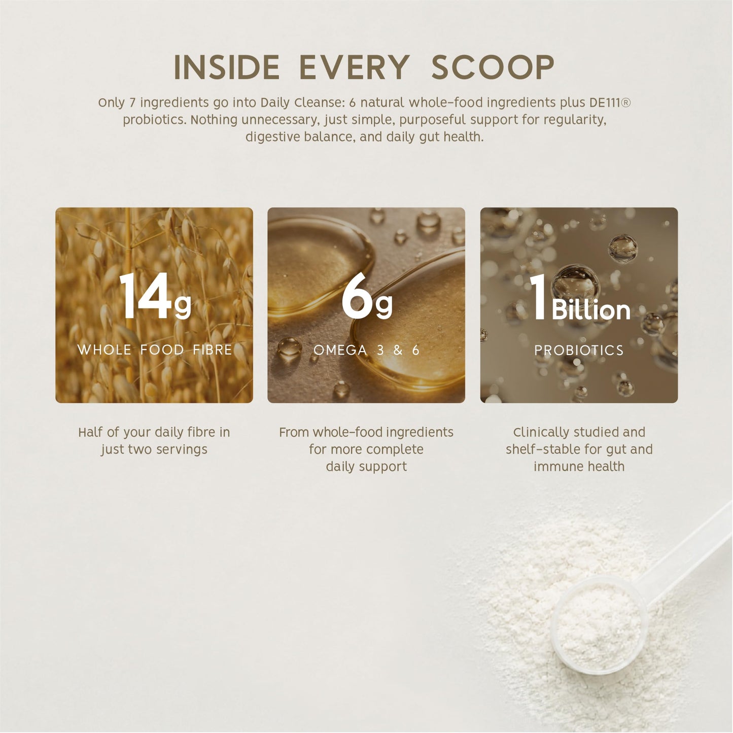 North Coast Naturals Ultimate Daily Cleanse with Superior Fibre (1 kg (pack of 1)) - Available at All In One Marketplace Canada