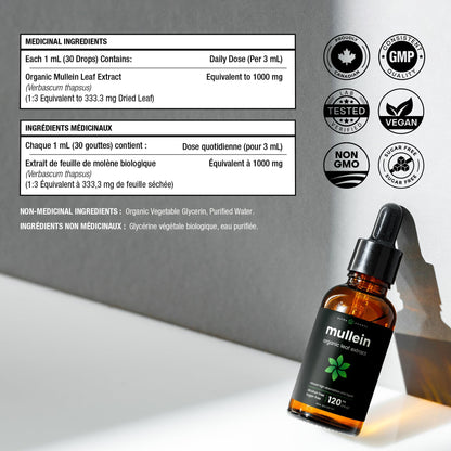 Organic Mullein Leaf Extract for Lungs - 4 Fl Oz - Herbal Tincture for Lung Cleanse & Flush - Natural Mullein Tea Alternative - Mullein Supplement Drops for Lungs - 1,000mg Equivalent Per Serving - Available at All In One Marketplace Canada