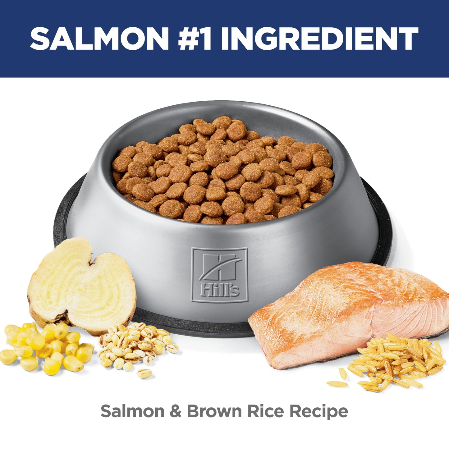 Hill's Science Diet Adult Perfect Digestion Salmon, Whole Oats & Brown Rice Recipe Dry Dog Food 10.0 kg Bag 🍁 All In One Marketplace Canada