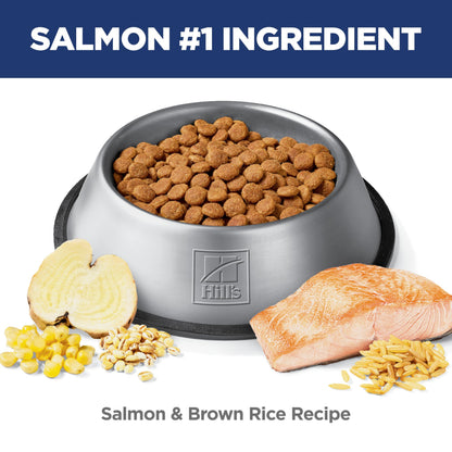 Hill's Science Diet Adult Perfect Digestion Salmon, Whole Oats & Brown Rice Recipe Dry Dog Food 10.0 kg Bag 🍁 All In One Marketplace Canada
