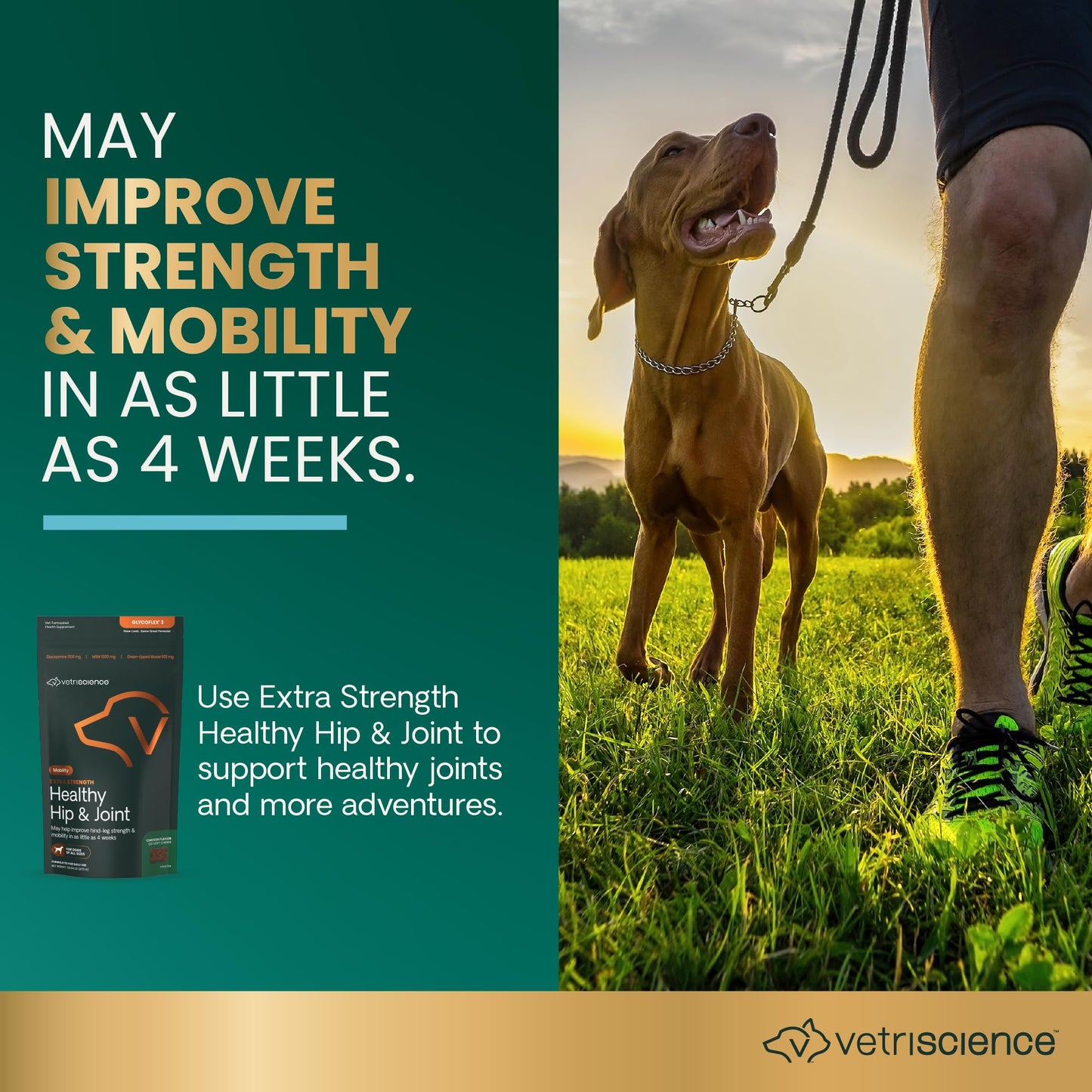 VETRISCIENCE Glycoflex Clinically Proven Hip and Joint Supplement with Glucosamine for Dogs, Chicken, 60 Chews - Vet Recommended Mobility Support Supplement with DMG, MSM, and Perna Vetri-Science Laboratories