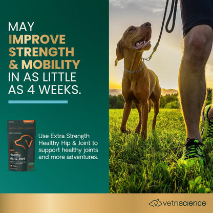 VETRISCIENCE Glycoflex Clinically Proven Hip and Joint Supplement with Glucosamine for Dogs, Chicken, 60 Chews - Vet Recommended Mobility Support Supplement with DMG, MSM, and Perna Vetri-Science Laboratories
