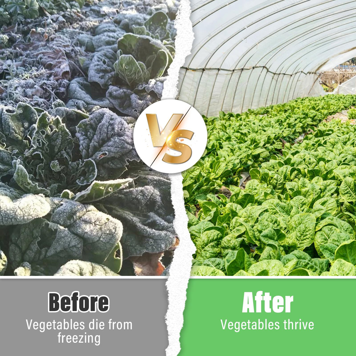 Legigo 10 X 30 Ft Clear Greenhouse Plastic, Plant Covers Freeze Protection 🍁 All In One Marketplace Canada