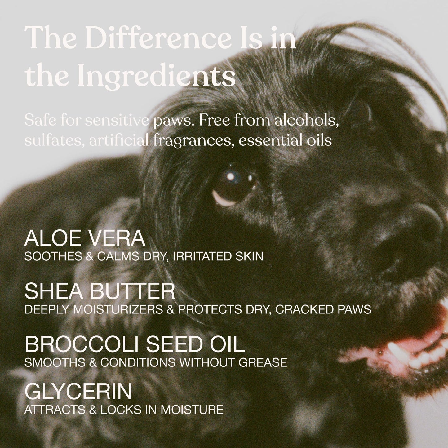 Dandylion Dog Paw Balm, Soft Paws, Paw Moisturizer for Dogs, Dog Lotion with Brush, Fragrance Free pH Balanced Lotion for Paws, Lightweight Moisture for Dry Cracked Paw Pads and Nose, 0.6 fl oz - Available at All In One Marketplace Canada