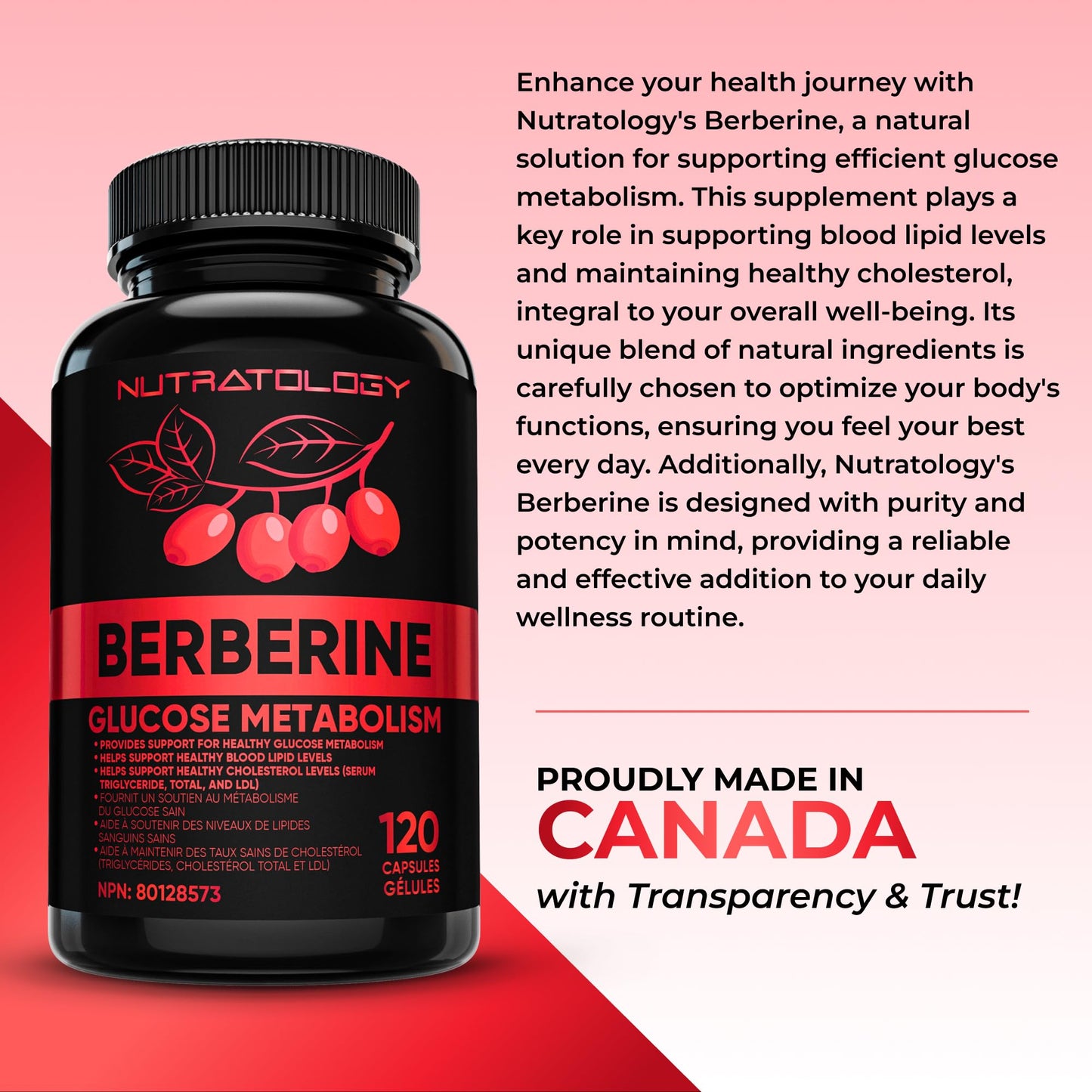 Nutratology® Berberine Supplement | Canadian-Made | Max Potency 500MG Per Capsule - Supports Glucose Metabolism & Healthy Blood Sugar Levels Through Efficient Metabolism Of Sugar & Fats - 120 Capsules - Available at All In One Marketplace Canada