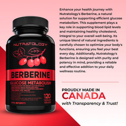 Nutratology® Berberine Supplement | Canadian-Made | Max Potency 500MG Per Capsule - Supports Glucose Metabolism & Healthy Blood Sugar Levels Through Efficient Metabolism Of Sugar & Fats - 120 Capsules - Available at All In One Marketplace Canada
