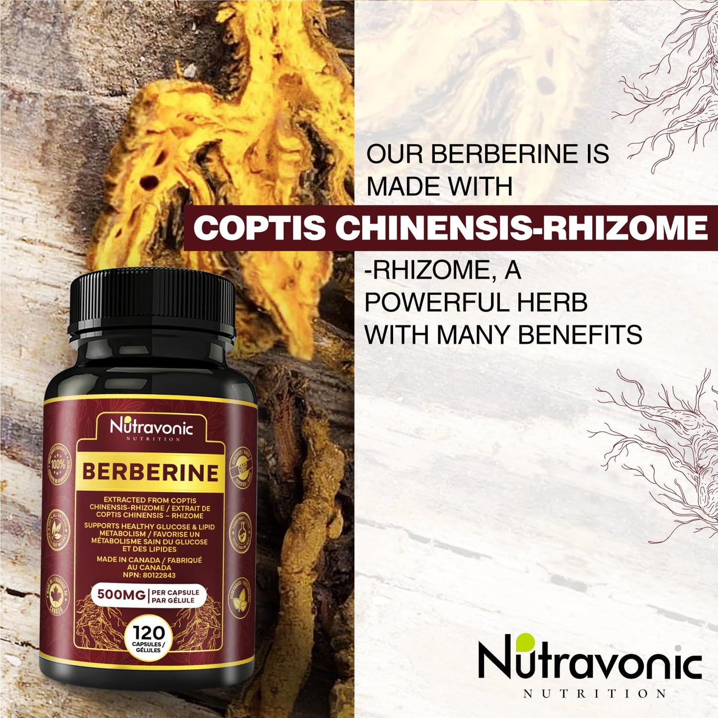 Nutravonic Berberine Supplements 1000mg Per Serving, 500mg Per Capsule | Made in Canada I Supports Healthy Glucose & Lipid Metabolism | Non-GMO, Vegan, Gluten-free, 120 Easy-to-Swallow Capsules - Available at All In One Marketplace Canada