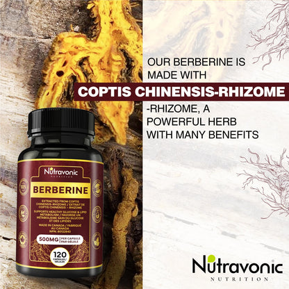Nutravonic Berberine Supplements 1000mg Per Serving, 500mg Per Capsule | Made in Canada I Supports Healthy Glucose & Lipid Metabolism | Non-GMO, Vegan, Gluten-free, 120 Easy-to-Swallow Capsules - Available at All In One Marketplace Canada