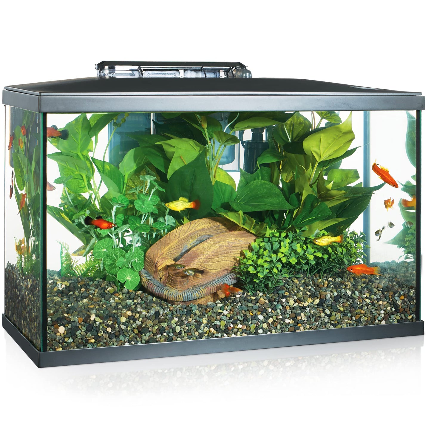 Marina LED Aquarium Kit, 10 Gallon, (15256A1) 🍁 All In One Marketplace Canada Marina
