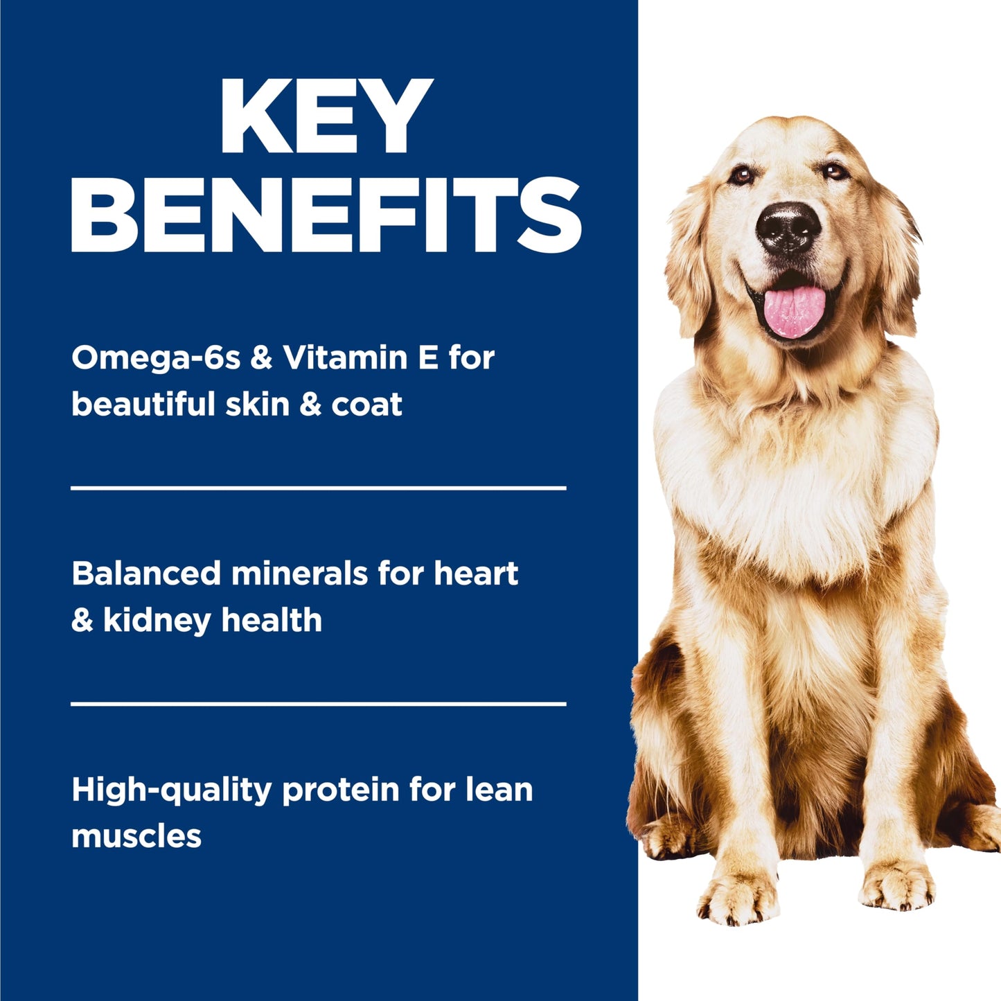 Hill's Science Diet Adult Perfect Weight Canned Dog Food, Hearty Vegetable & Chicken Stew 12 x 354 g Can 🍁 All In One Marketplace Canada