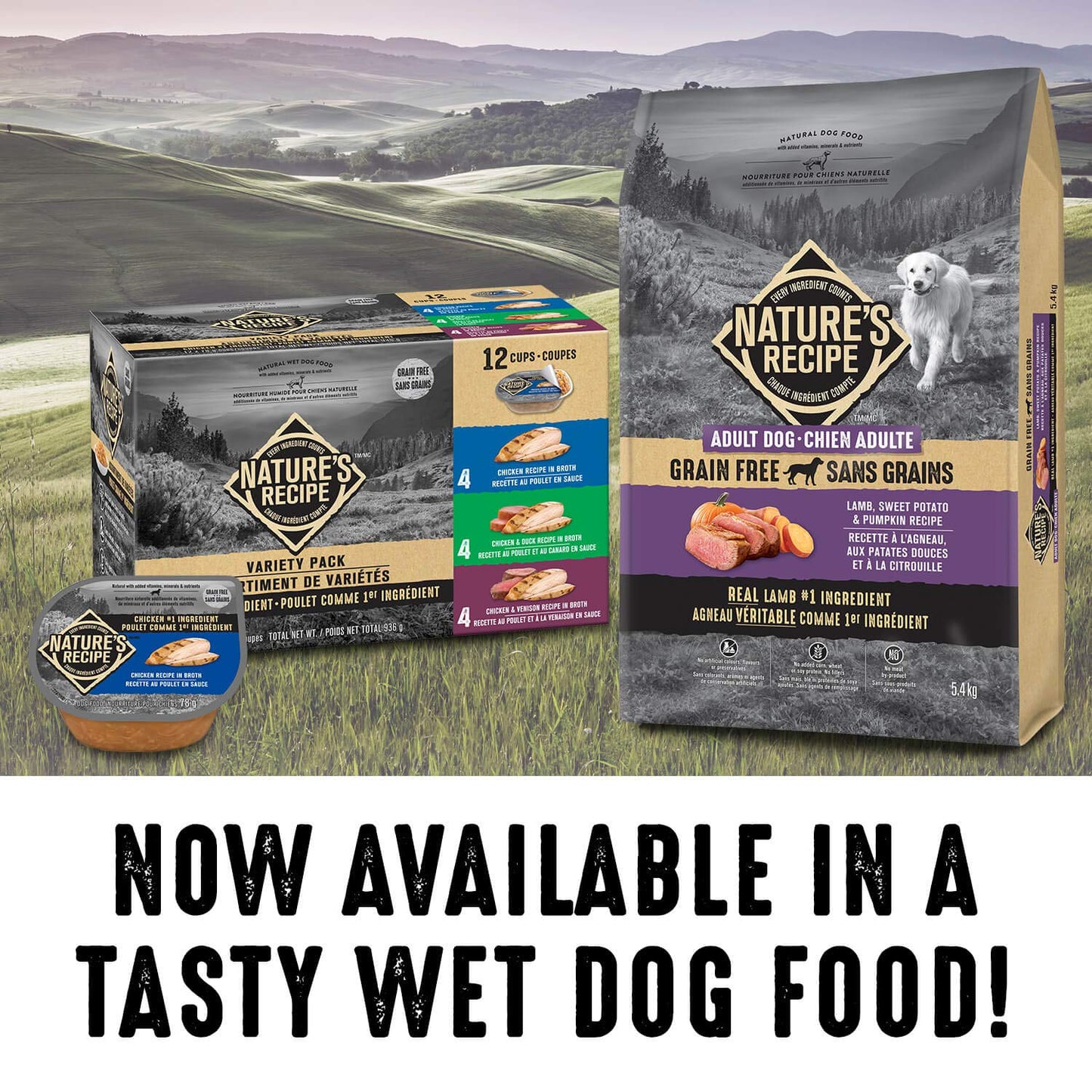 Nature's Recipe Adult Grain Free Natural Dry Dog Food Lamb, Sweet Potato & Pumpkin Recipe 10.8 kg (Pack of 1) 🍁 All In One Marketplace Canada