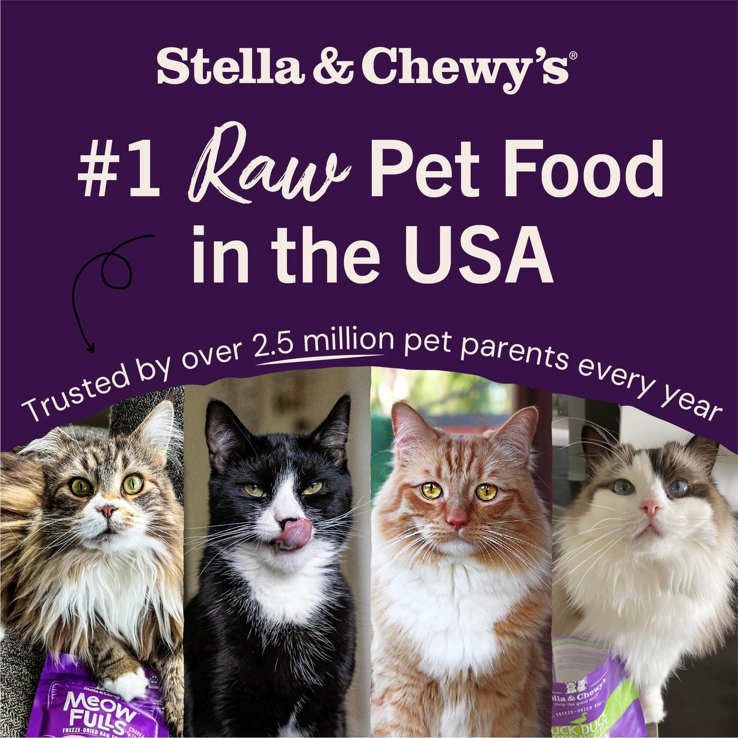 Stella & Chewy's Freeze-Dried Raw Cage-Free Chicken Recipe Marie's Magical Dinner Dust for Cats, 198g Bag Stella & Chewy's