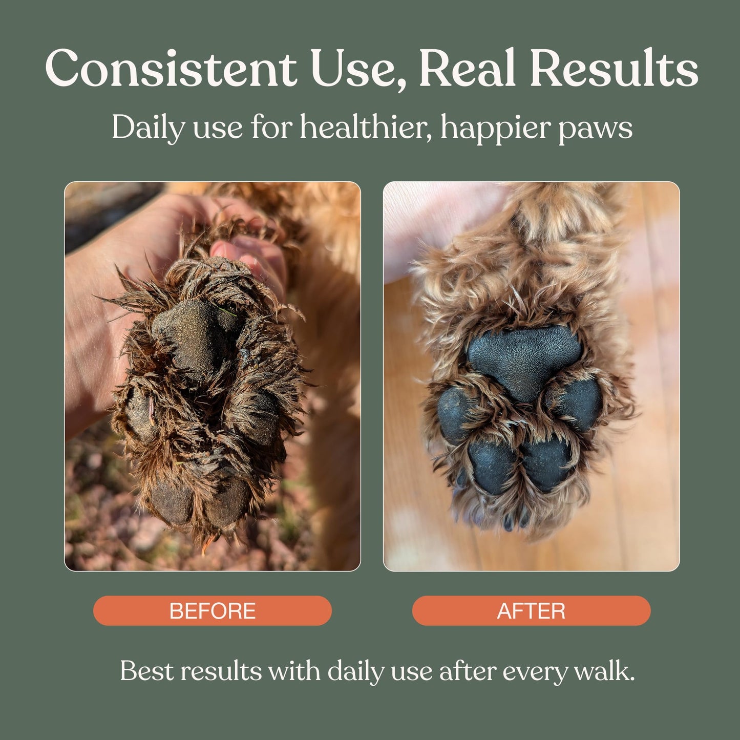 Dandylion Dog Paw Cleaner, Clean Paws, Dog Paw Washer, No Rinse Foam Cleaner for Dogs, Fragrance Free pH Balanced Foaming Washer with Silicone Brush, Pet Cleaning Supplies, 5 fl oz