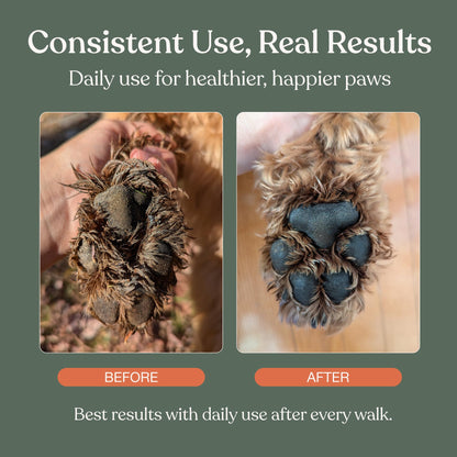 Dandylion Dog Paw Cleaner, Clean Paws, Dog Paw Washer, No Rinse Foam Cleaner for Dogs, Fragrance Free pH Balanced Foaming Washer with Silicone Brush, Pet Cleaning Supplies, 5 fl oz