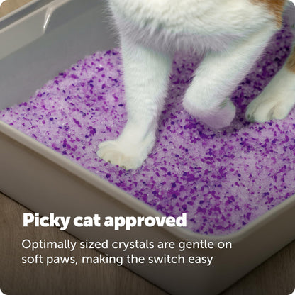 PetSafe ScoopFree Lavender Non-Clumping Crystal Cat Litter, Lightly Scented Litter – Superior Odor Control – Low Tracking for Less Mess – Lasts Up to 1 Month, 8.6 Lbs Total (2 Pack of 4.3 Lb Bags)
