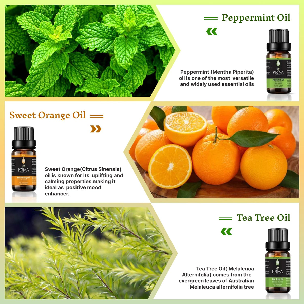 KRIAA Goodness Citrus & Herb Essential Oils Set, 6 x 10ml 🍁 All In One Marketplace Canada