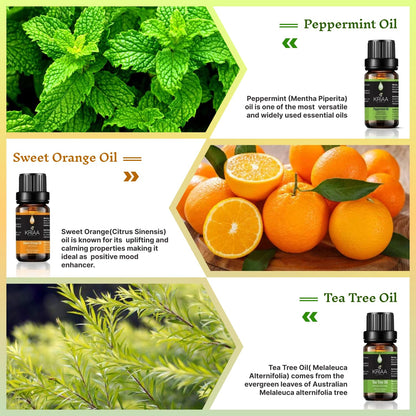 KRIAA Goodness Citrus & Herb Essential Oils Set, 6 x 10ml 🍁 All In One Marketplace Canada
