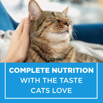Cat Chow Complete Dry Cat Food, Real Chicken - 8 kg Bag