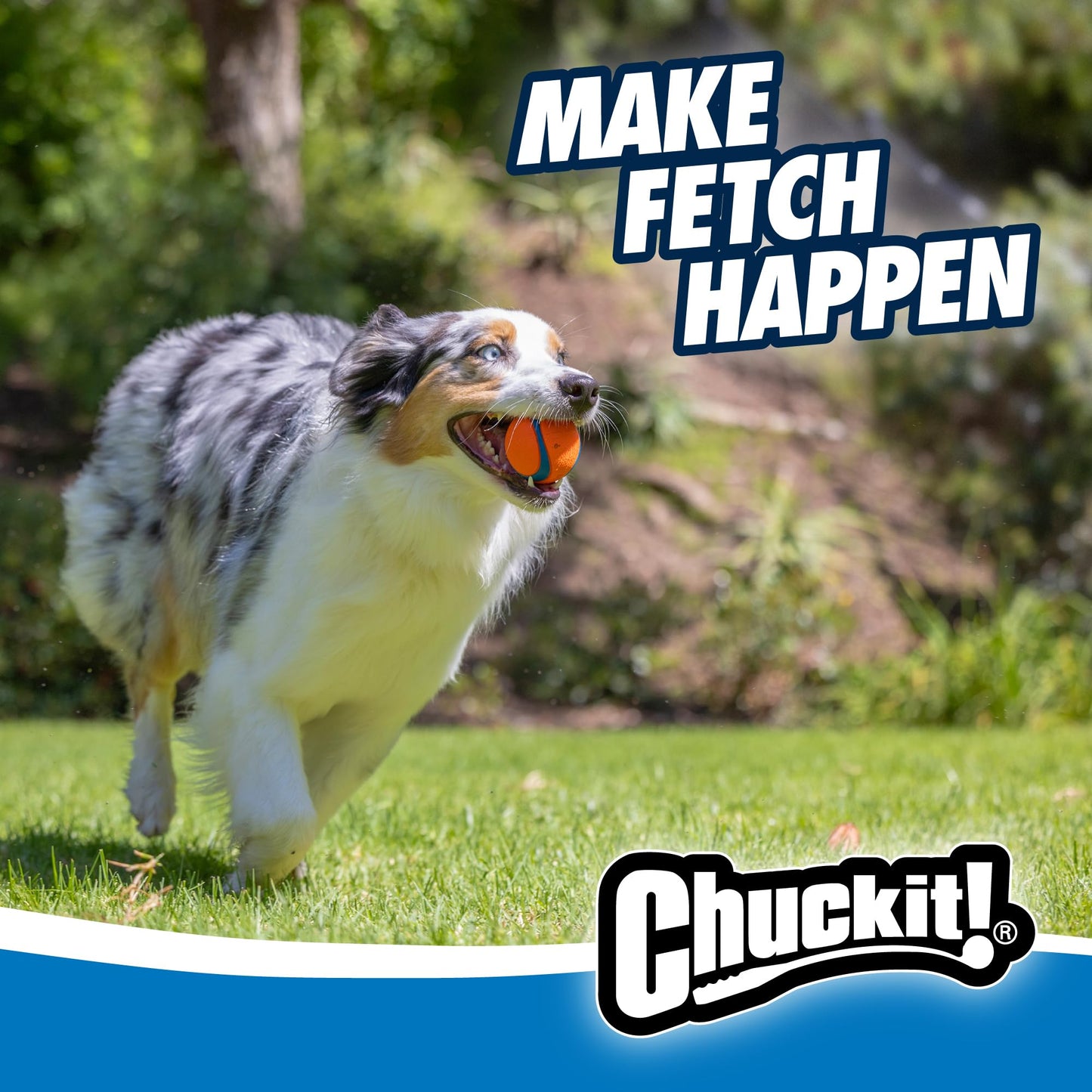 Chuckit! Fetch Ball Medley, Medium, Dog Ball, 3 Pack, Ultra, Fetch and Rugged Balls Included