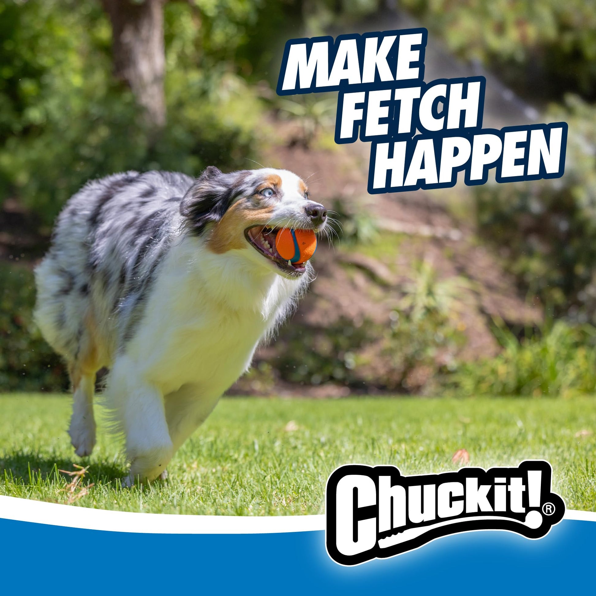 Chuckit! Fetch Ball Medley, Medium, Dog Ball, 3 Pack, Ultra, Fetch and Rugged Balls Included