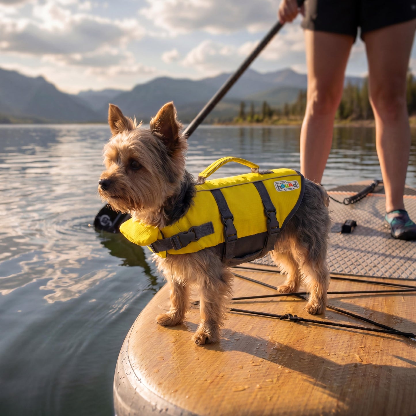 Outward Hound Granby Splash Dog Life Jacket with Handle, Reflective Floating Vest for Swimming & Boating, Maximum Buoyancy, All Skill Levels, Extra-Small Dogs & Puppies (11–15" Girth), Yellow, X-Small