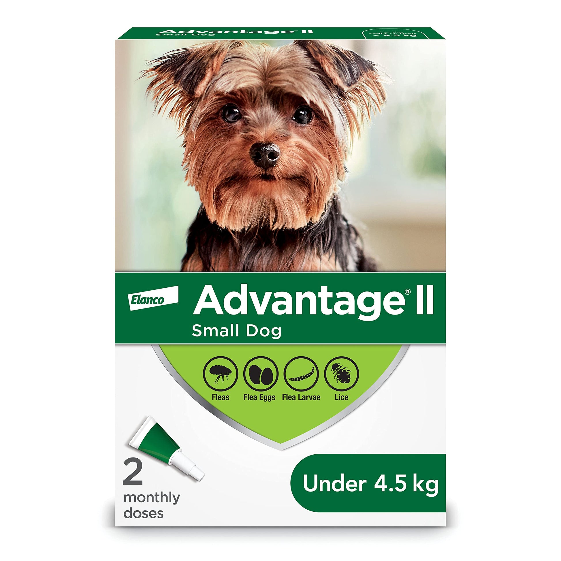 Advantage II - Flea Protection for Small Dogs - Vet Recommended – 2 pack Advantage