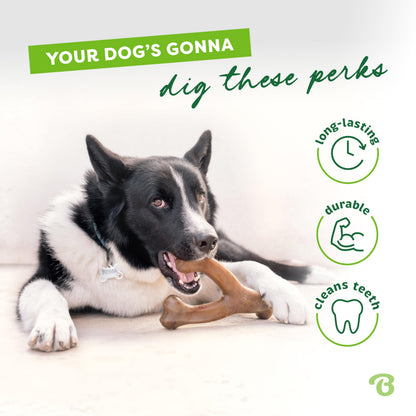 Benebone Wishbone Durable Dog Chew Toy for Aggressive Chewers, Real Chicken, Made in USA, Medium 🍁 All In One Marketplace Canada