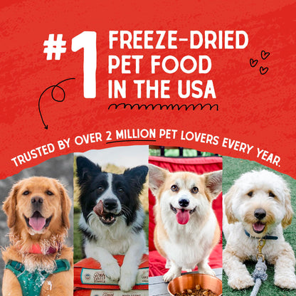 Stella & Chewy’s Freeze Dried Raw Dinner Patties – Grain Free Dog Food, Protein Rich Chewy’s Chicken Recipe – 708g Bag