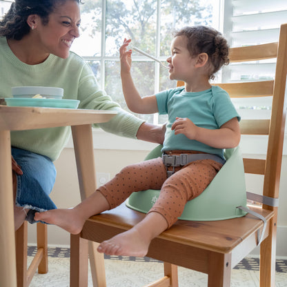 Ingenuity: ity by Ingenuity My Spot Easy-Clean Baby Booster Feeding Chair, 3-Point Harness, Washable Removable Straps - Green 🍁 All In One Marketplace Canada