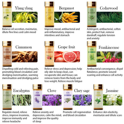 20 Pack 20 Flavors Pure Essential Oil Set, Essential Oils for Diffuser, Candle Making, Home Apartment, Eucalyptus, Lavender, Lemon, Peppermint,Tea Tree, Cinnamon, Rose, Sandalwood, Patchouli 🍁 All In One Marketplace Canada