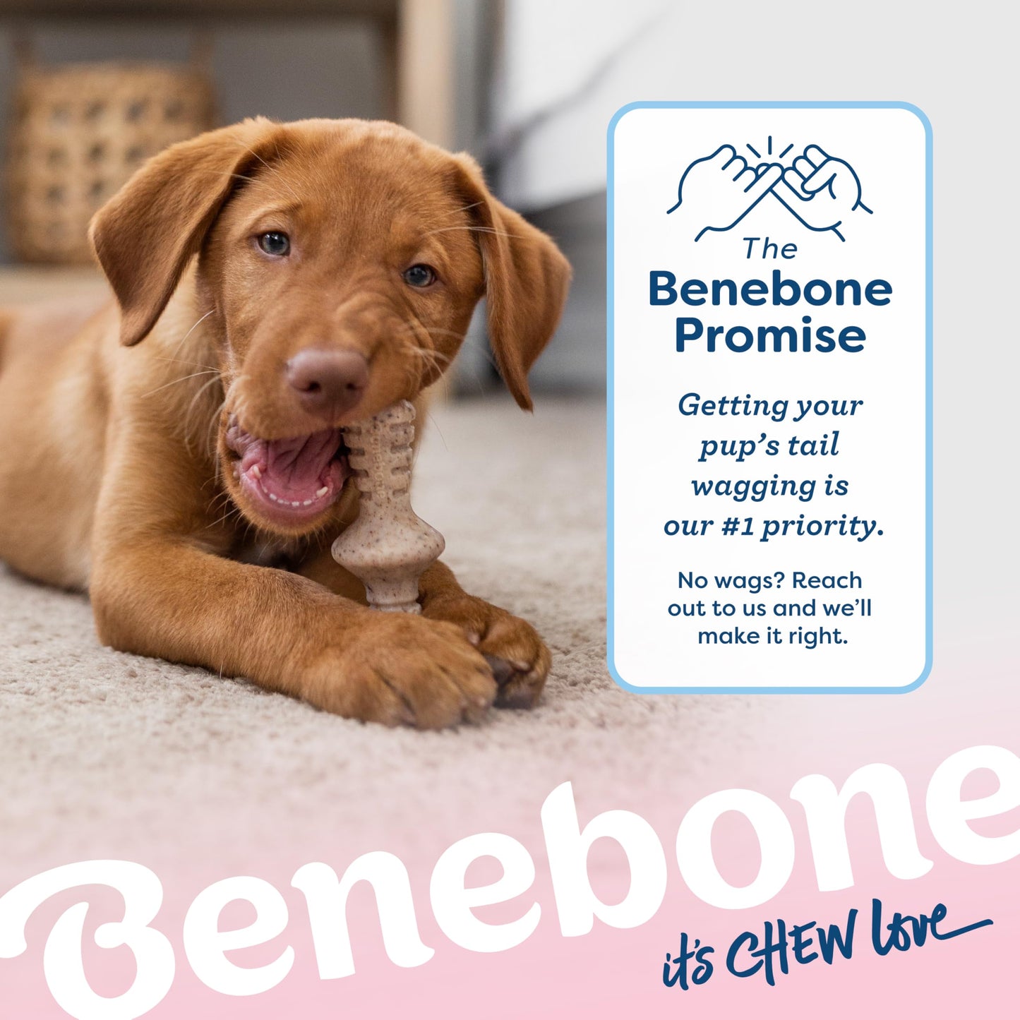 Benebone Puppy 2-Pack Maplestick/Zaggler Dog Chew Toys, Dog Bones, Tiny Benebone