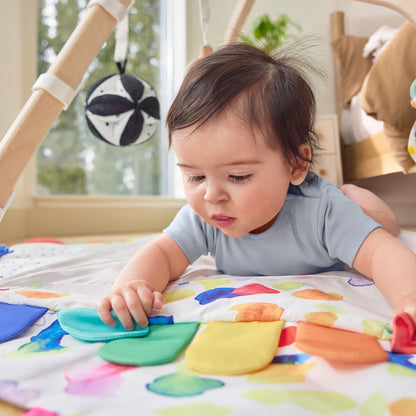 The Play Gym by Lovevery Lovevery