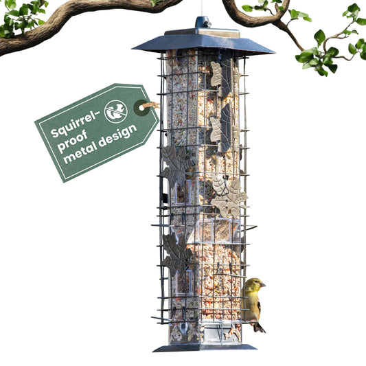 Perky-Pet 336-1SR Squirrel-Be-Gone Bird Feeder, 2LB Squirrel Proof Outdoor Wild Bird Feeder with Weight-Activated Perches