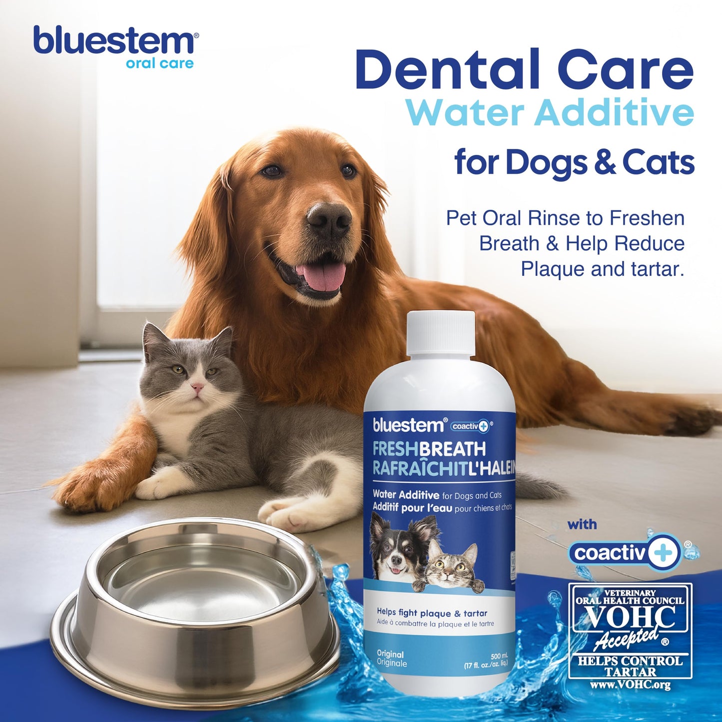 bluestem Dental Care Water Additive for Dogs & Cats – No Brushing Daily Teeth Cleaner – Pet Oral Rinse to Freshen Breath & Help Reduce Plaque – Flavorful & Easy Oral Hygiene (500 ml, Original)