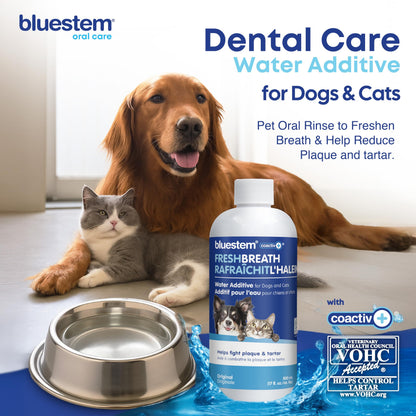 bluestem Dental Care Water Additive for Dogs & Cats – No Brushing Daily Teeth Cleaner – Pet Oral Rinse to Freshen Breath & Help Reduce Plaque – Flavorful & Easy Oral Hygiene (500 ml, Original)