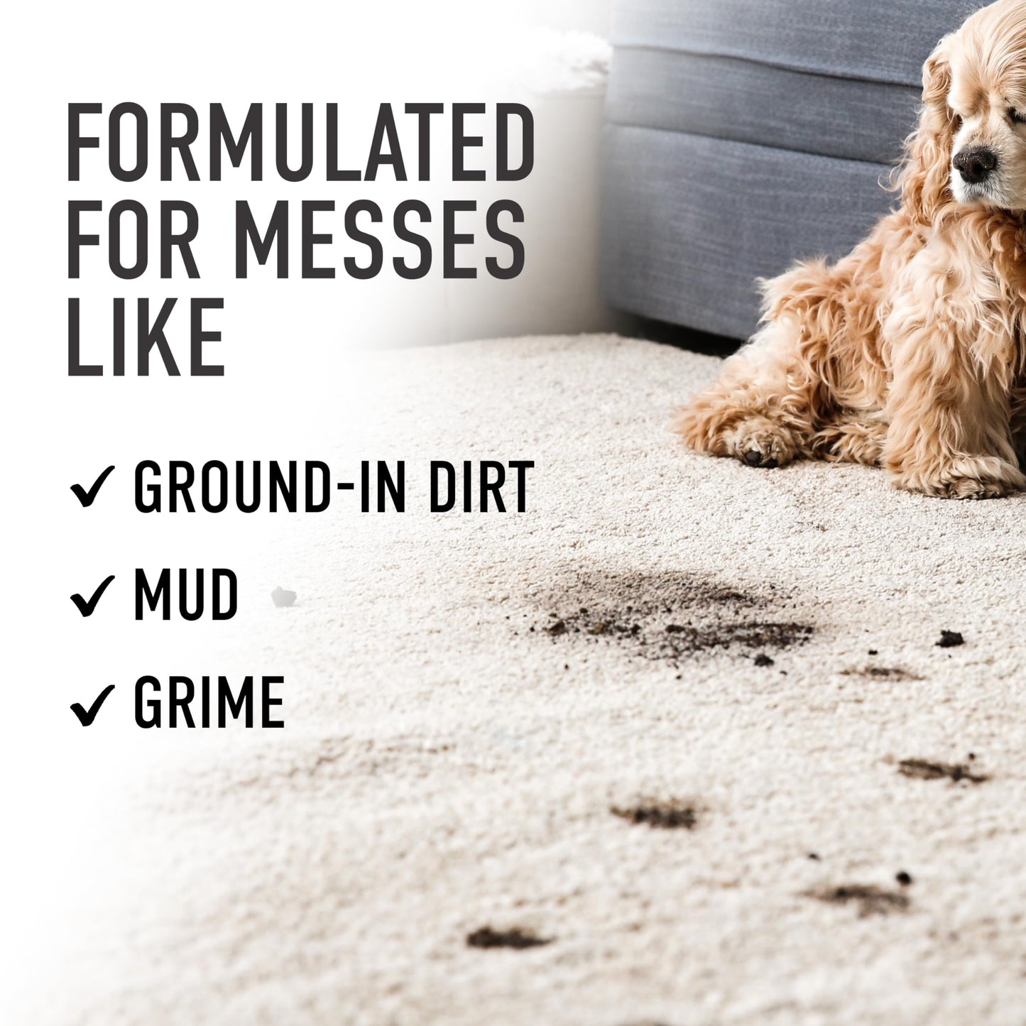 Hoover Prime Professional Carpet Cleaner Solution, 64 oz., Ocean Breeze Scent, Powerful Carpet Shampoo Solution, Remove Tough Stains from Carpet and Upholstery, Pair with Hoover Carpet Cleaner Machine - Available at All In One Marketplace Canada