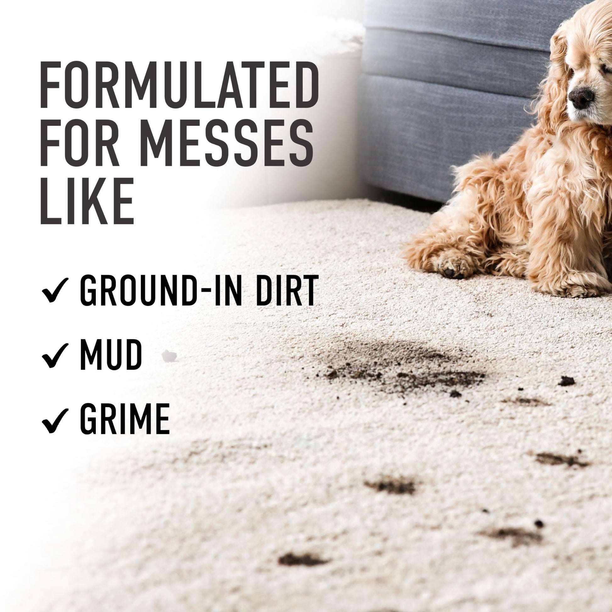 Hoover Prime Professional Carpet Cleaner Solution, 64 oz., Ocean Breeze Scent, Powerful Carpet Shampoo Solution, Remove Tough Stains from Carpet and Upholstery, Pair with Hoover Carpet Cleaner Machine - Available at All In One Marketplace Canada