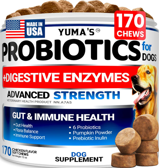 Probiotics for Dogs - 170 Chews - Helps Relieve Diarrhea, Gas & Allergies, Constipation - Dog Probiotics - Digestive & Immune Support - Prebiotics & Digestive Enzymes - Gut Health Chewable Supplement