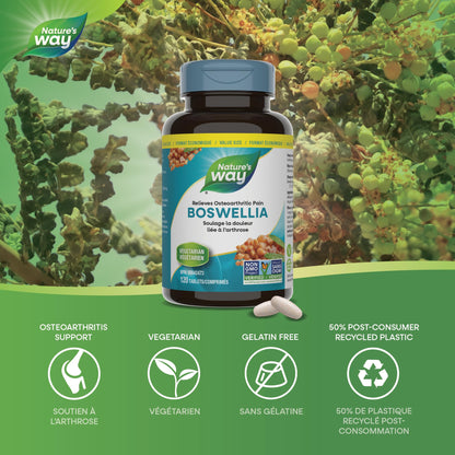 Nature’s Way Boswellia, 115 mg Boswellic Acids – Helps Relieve Joint Pain & Swelling Associated with Osteoarthritis of the Knee – Vegetarian, Non-GMO – 120 Tablets