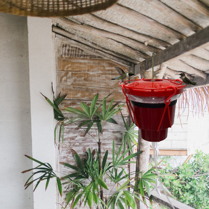 Hummingbird Feeder Heater for Winter, Heated Hummingbird Feeders for Outdoors, Hummingbird Feeder Warmer, Heated Bird Feeder Attaches to The Bottom of an Existing Feeder (Feeder Not Included) 🍁 All In One Marketplace Canada