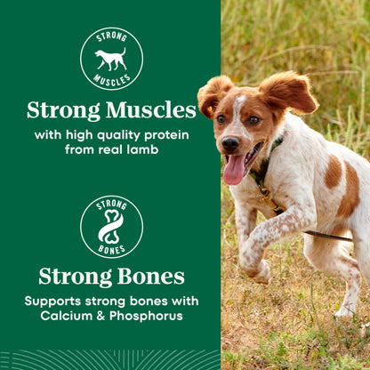 Nutro Natural Choice Adult Dry Dog Food, Lamb Flavour, 2.27kg Nutro