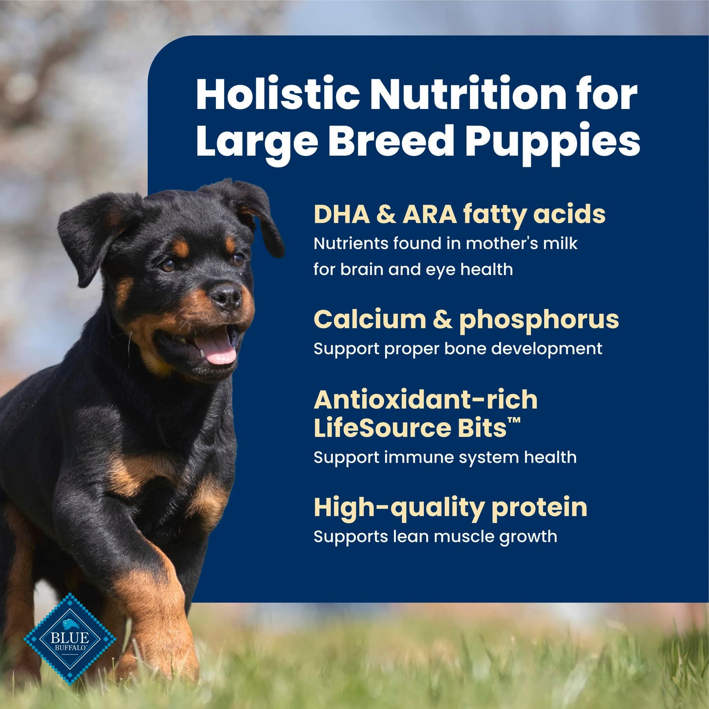 Blue Buffalo Life Protection Formula Chicken & Brown Rice Large Breed Puppy Dry Dog Food with DHA & ARA, Supports Immunity with LifeSource Bits, Promotes Healthy Muscles & Strong Bones, 11.7kg/26 lbs