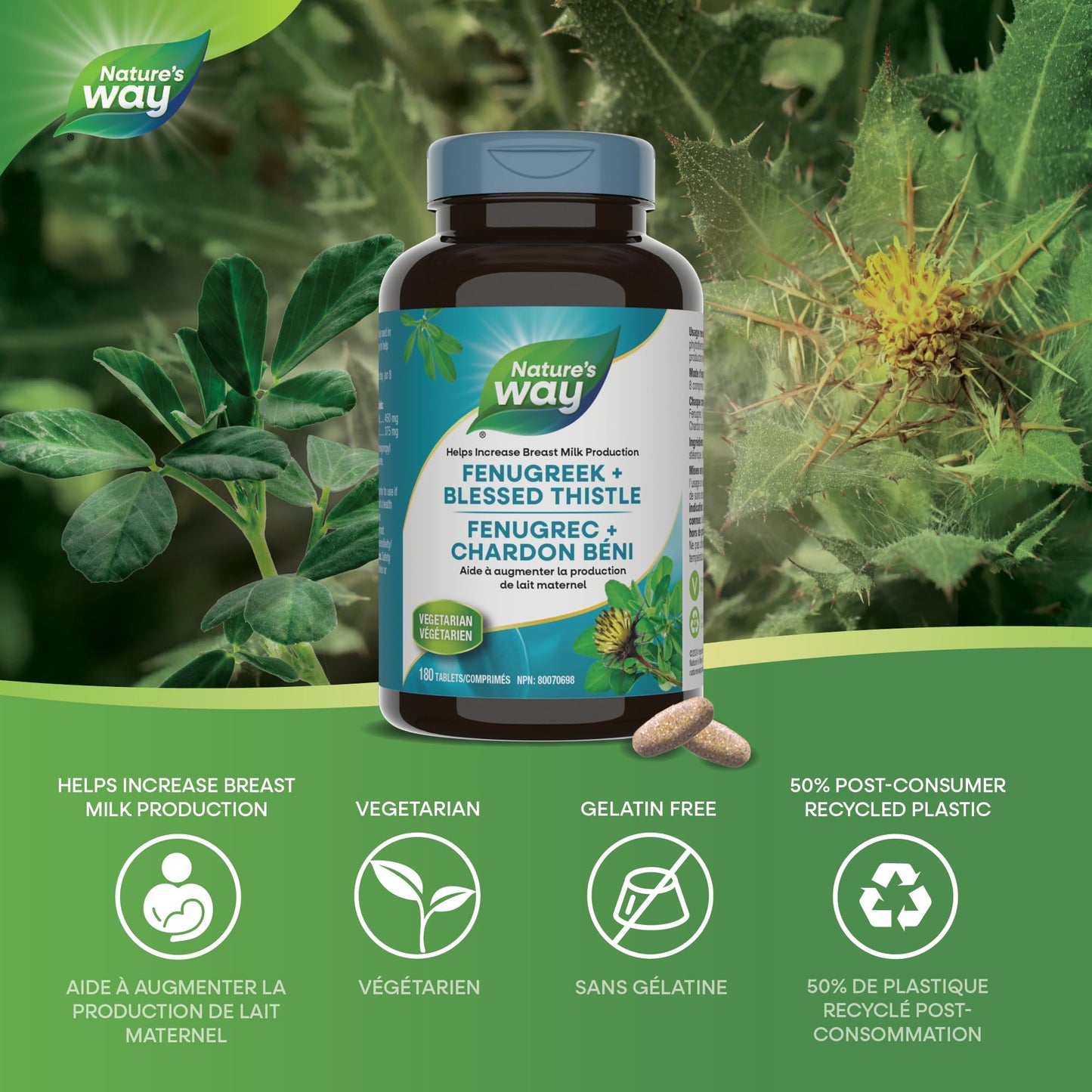 Nature's Way Fenugreek + Blessed Thistle – Herbal Supplement for Digestion & to Promote Lactation – 450mg Fenugreek & 375mg Blessed Thistle for Breastfeeding Support – 180 Vegetarian Tablets - Available at All In One Marketplace Canada