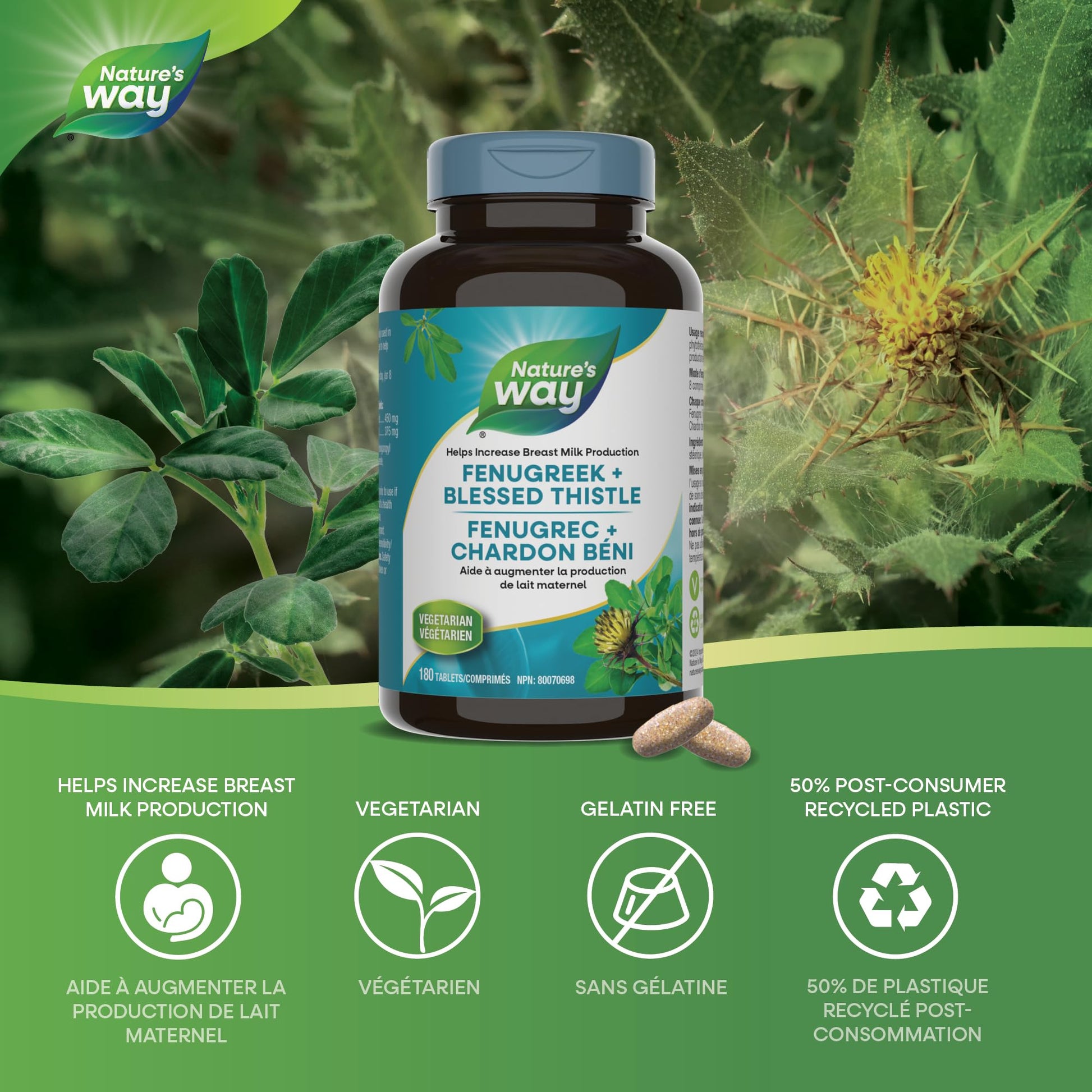 Nature's Way Fenugreek + Blessed Thistle – Herbal Supplement for Digestion & to Promote Lactation – 450mg Fenugreek & 375mg Blessed Thistle for Breastfeeding Support – 180 Vegetarian Tablets - Available at All In One Marketplace Canada