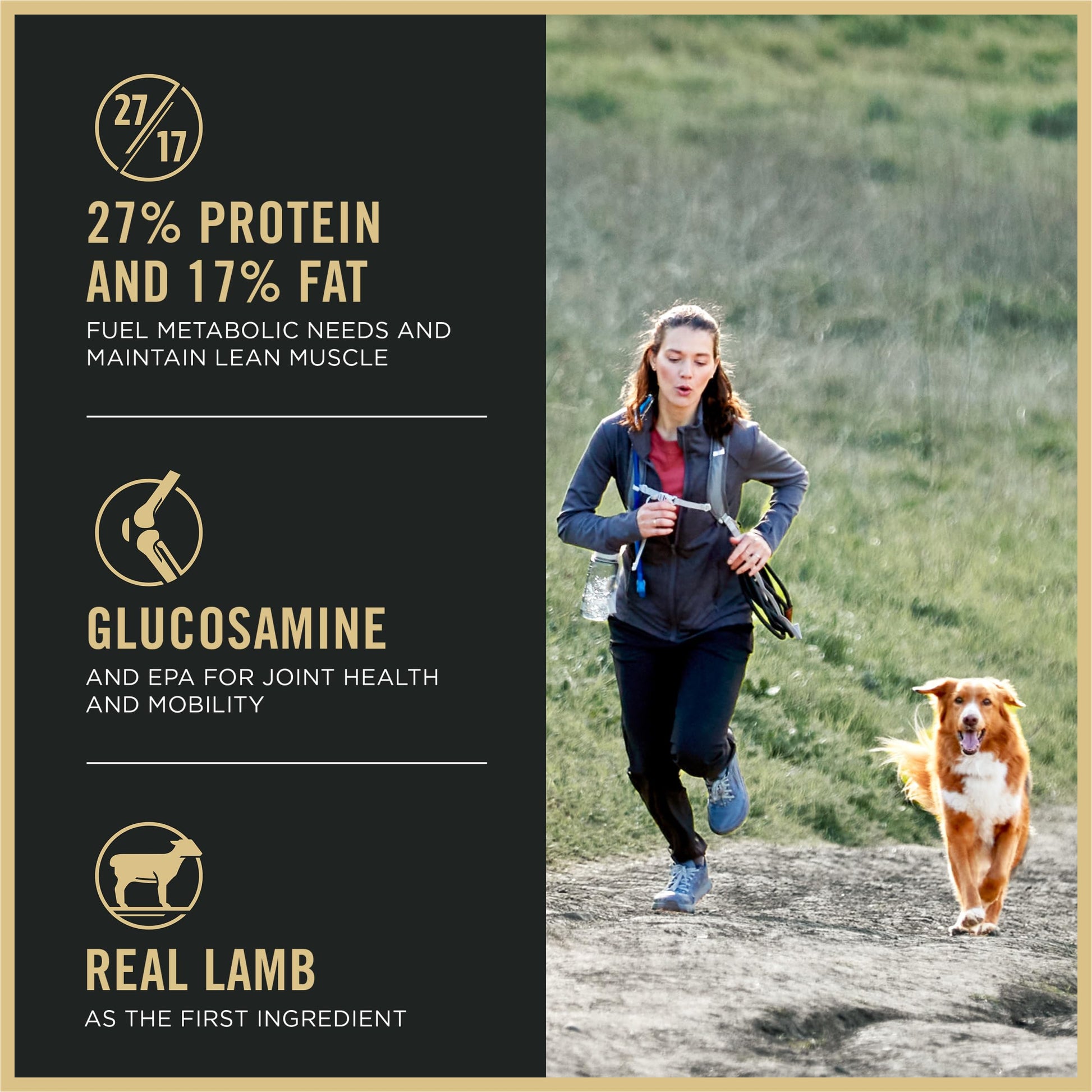 Purina Pro Plan Dry Dog Food, Sport Small Bites 27/17 Lamb & Rice - 17 kg Bag (1 Pack) - Available at All In One Marketplace Canada