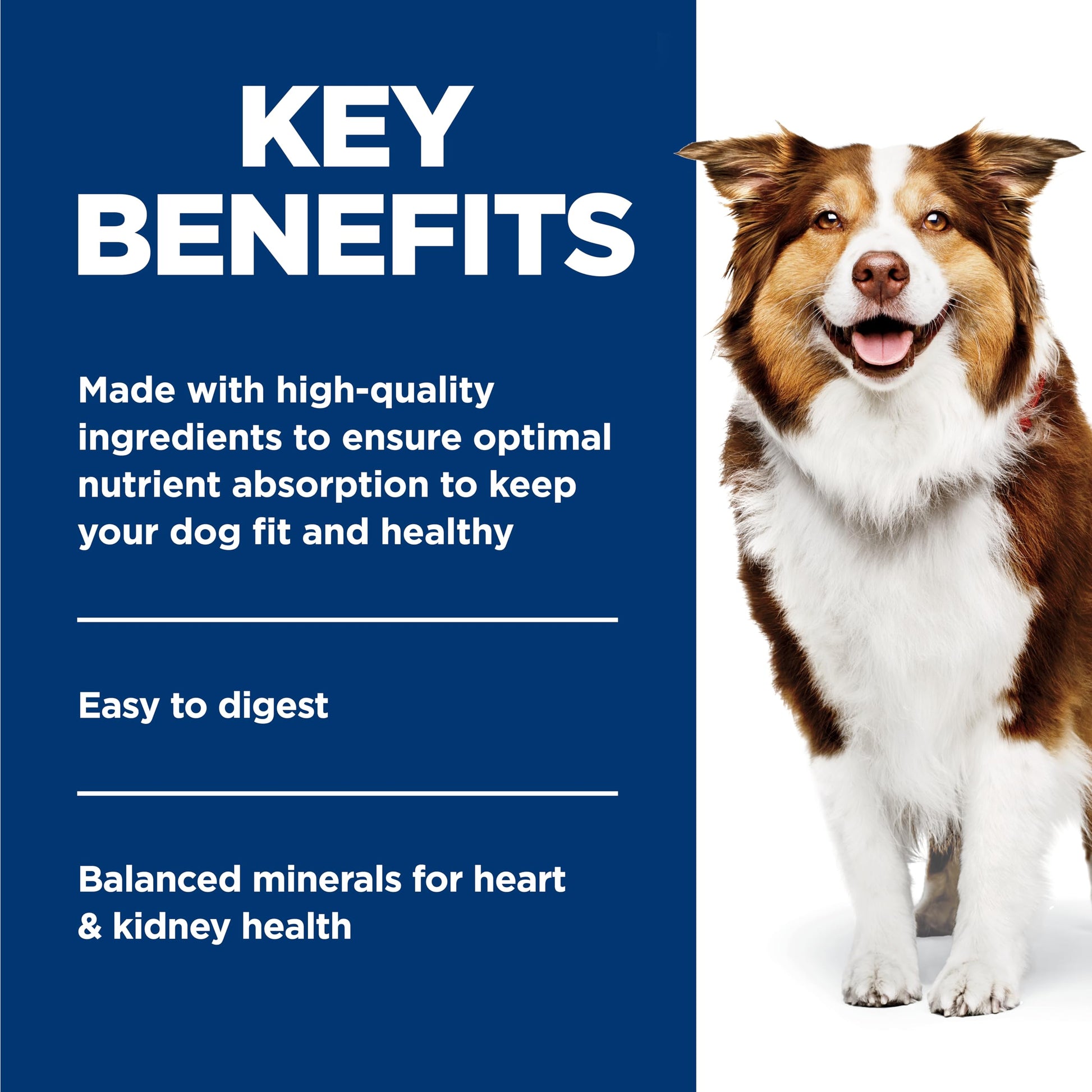 Hill's Science Diet Adult 7+, Senior Premium Nutrition, Wet Dog Food, Beef & Vegetables Stew, 12.8 oz Can, Case of 12 - Available at All In One Marketplace Canada
