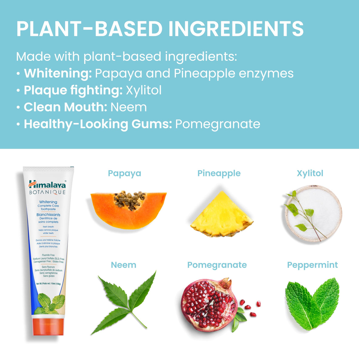 Himalaya Botanique Complete Care Whitening Toothpaste Peppermint 150g 4Pack 🍁 All In One Marketplace Canada