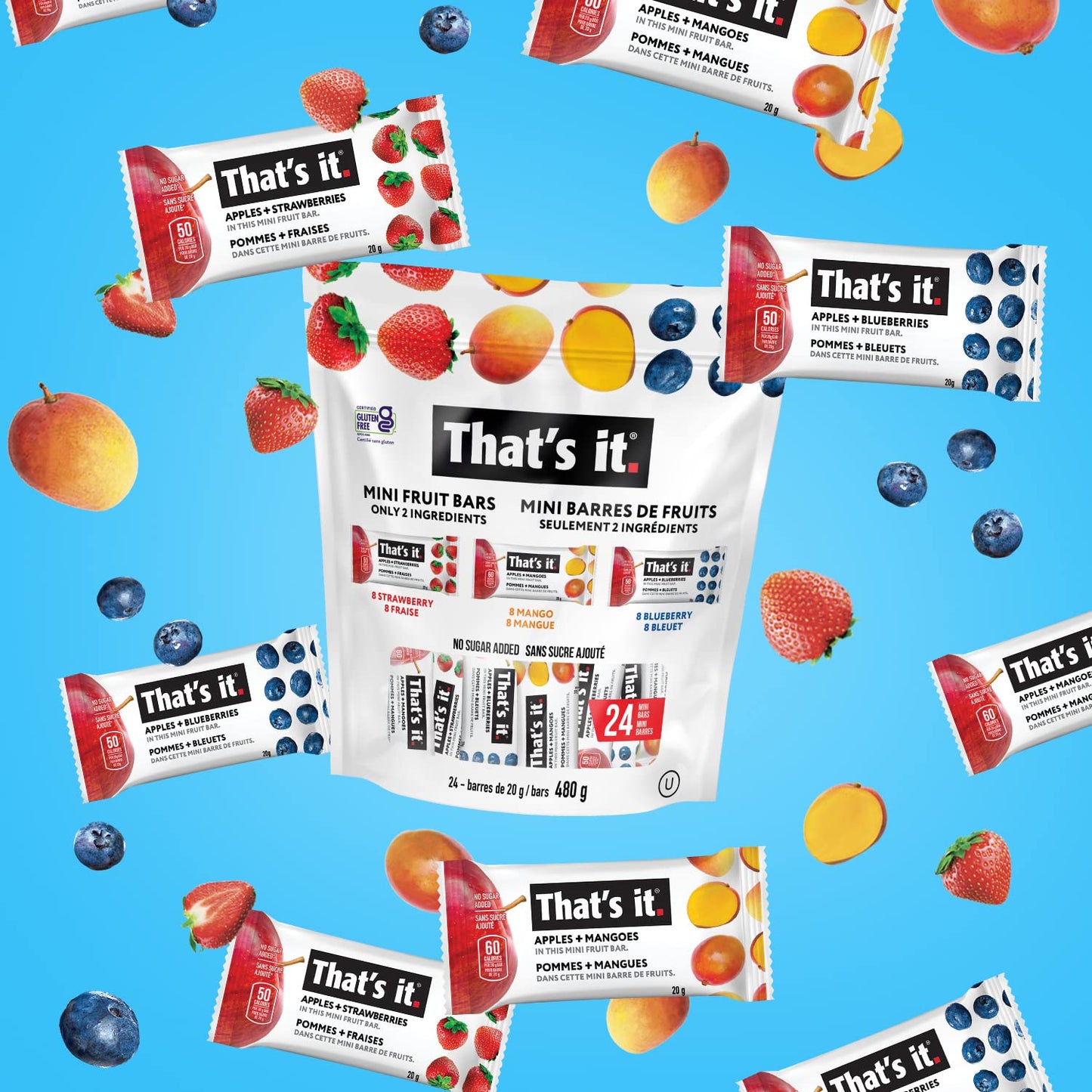 That's it. Mini Fruit Bars Variety Pack (24 Count) - No Added Sugar, Plant-Based, Vegan & Gluten Free