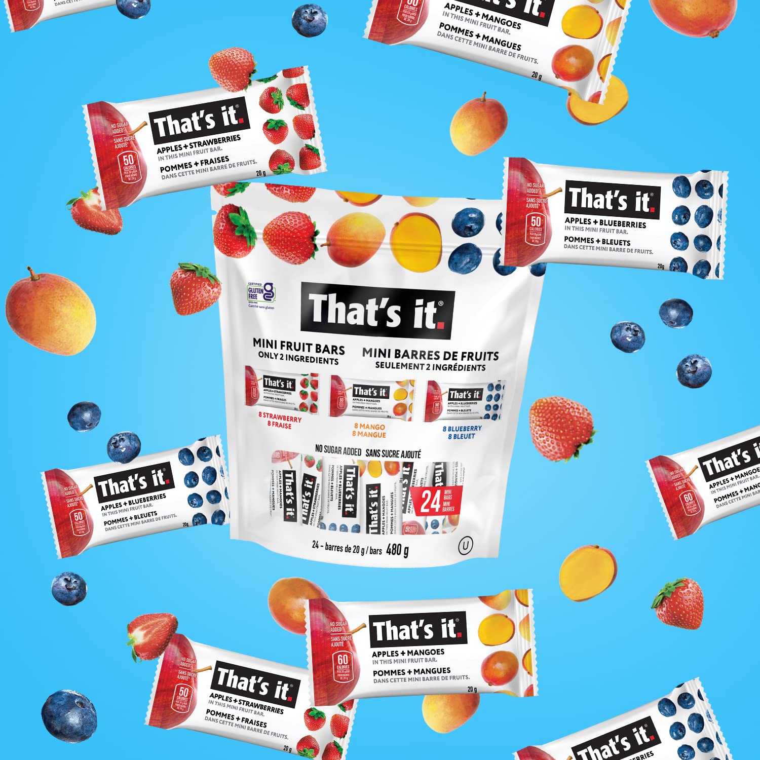 That's it. Mini Fruit Bars Variety Pack (24 Count) - No Added Sugar, Plant-Based, Vegan & Gluten Free